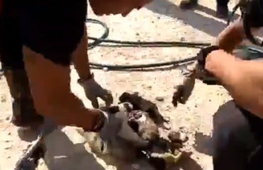 Bomberos España