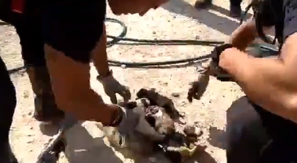 Bomberos España