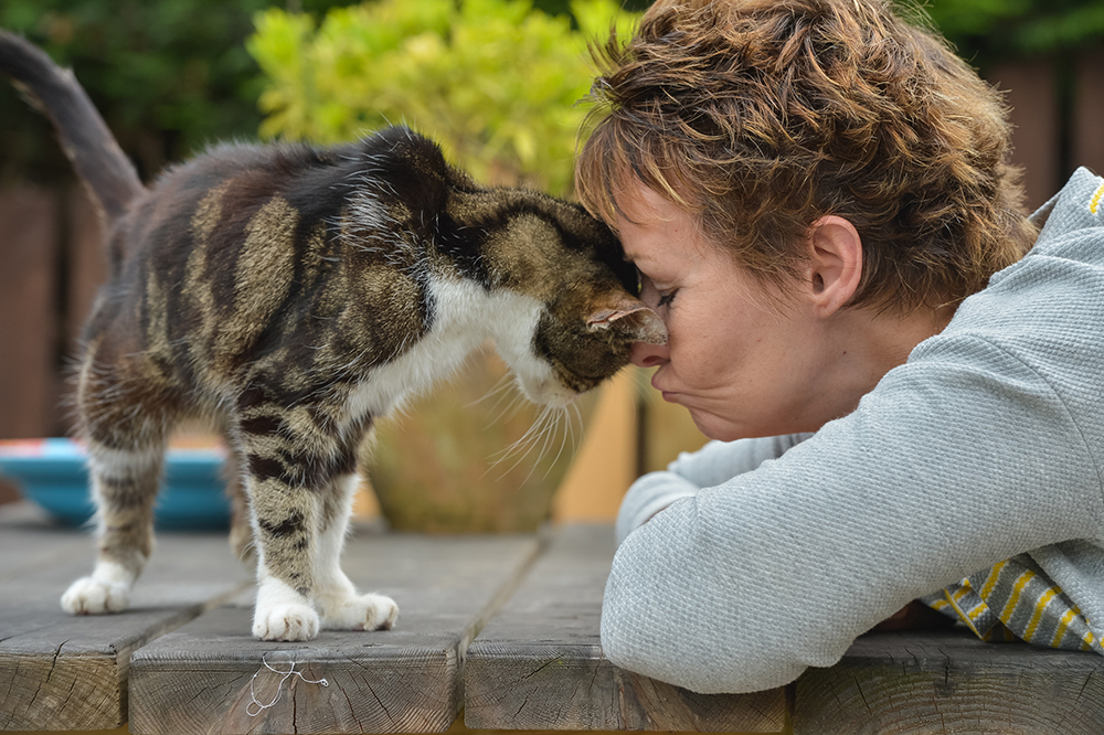 Una gatita se reúne con su dueña TRECE años después de haberla dado por perdida Una gatita se reúne con su dueña TRECE años después de haberla dado por perdida