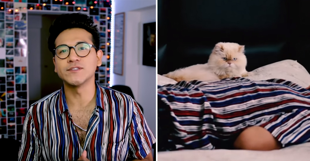 La insólita broma que un youtuber les hizo a sus mascotas felinas causa polémica en la red