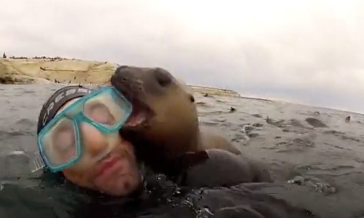 FOCA ARGENTINA