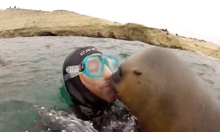 FOCA ARGENTINA