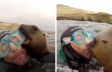 FOCA ARGENTINA