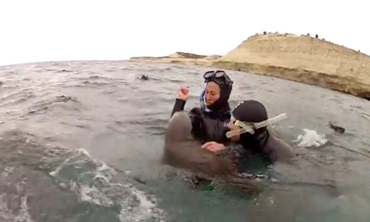 FOCA ARGENTINA