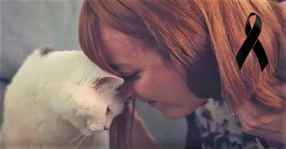 El gato que salvó a su dueña de un coágulo de sangre recibe un conmovedor homenaje póstumo El gato que salvó a su dueña de un coágulo de sangre recibe un conmovedor homenaje póstumo