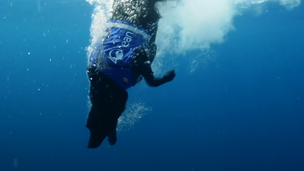 Lila 4 Ocean