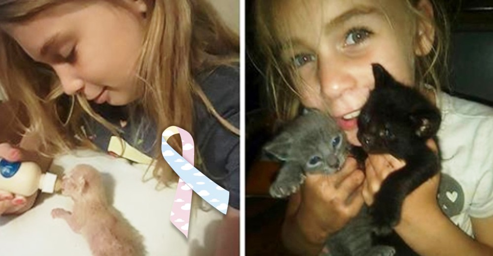 Una niña de 10 años pierde la vida electrocutada por salvar a sus gatitos detrás de una secadora Una niña de 10 años pierde la vida electrocutada por salvar a sus gatitos detrás de una secadora