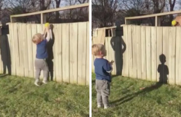 Niño y Perro jugando