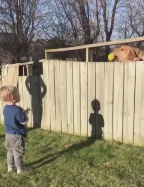 Niño y Perro jugando