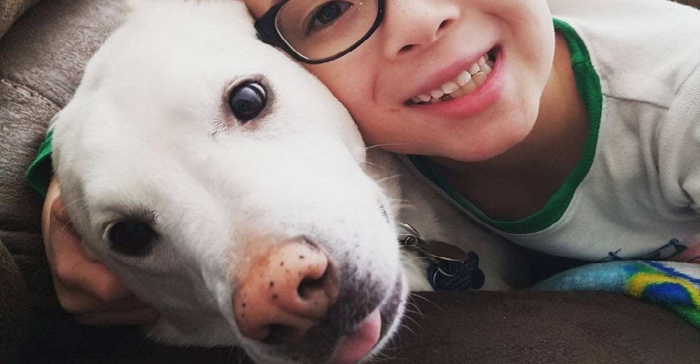 Un refugio deja a una familia destrozada tras sacrificar a su perro por error