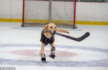 Benny