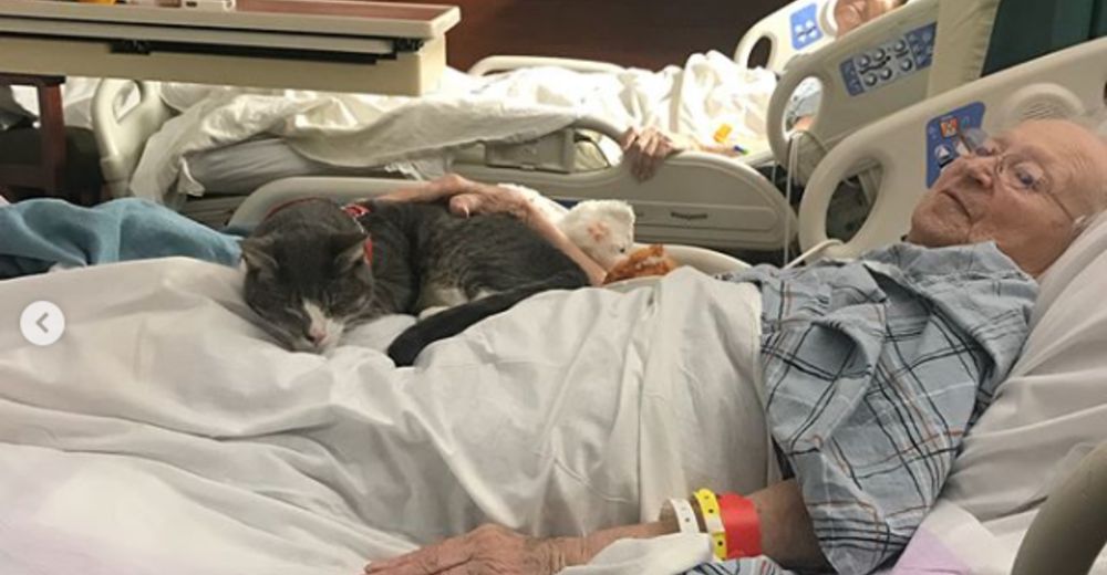 De haber perdido sus ojos y con un futuro incierto al mejor terapeuta de una anciana moribunda De haber perdido sus ojos y con un futuro incierto al mejor terapeuta de una anciana moribunda