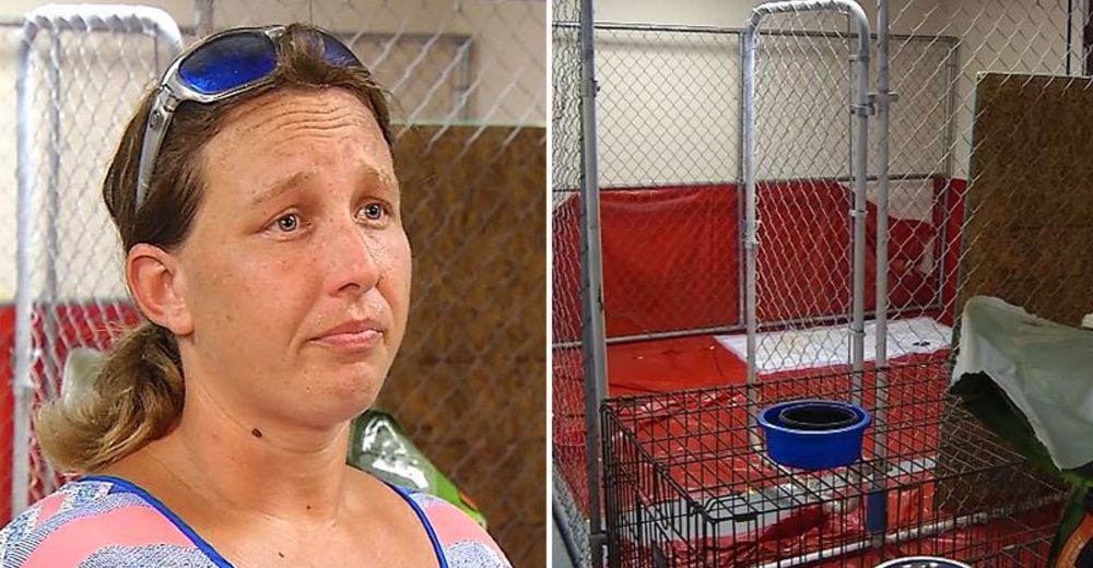 La injusta detención de una mujer que rescató a 27 animales abandonados en el huracán Florence La injusta detención de una mujer que rescató a 27 animales abandonados en el huracán Florence