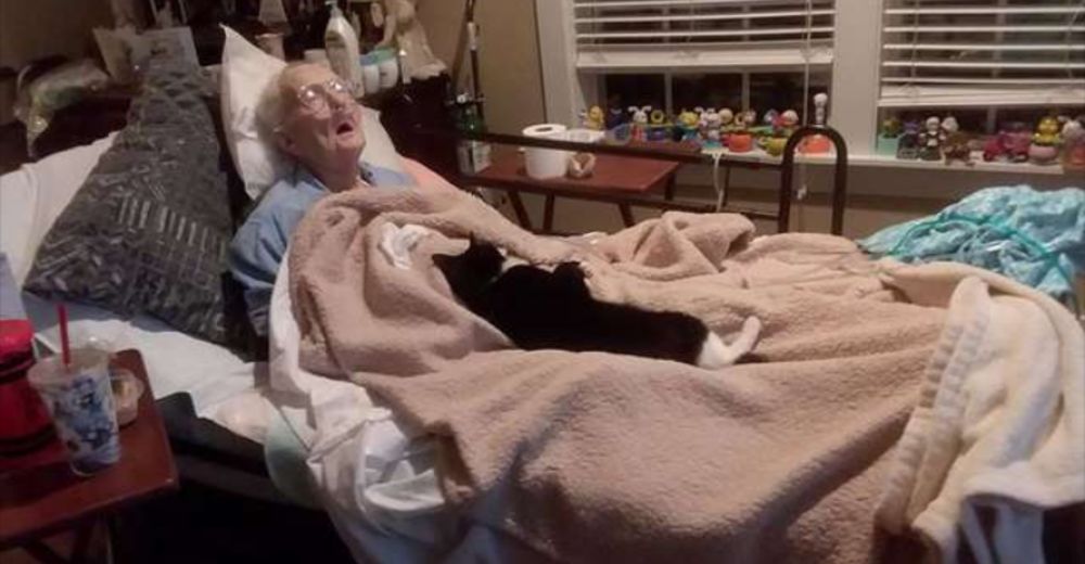 Una pequeña gatita se resiste a apartarse de la abuela moribunda de 96 años que la crió