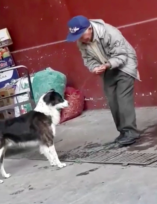 Abuelo y Perro Ecuador