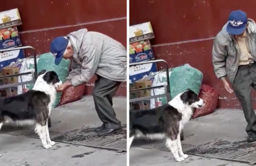 Abuelo y Perro Ecuador