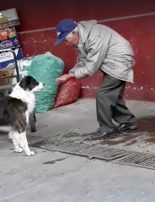 Abuelo y Perro Ecuador