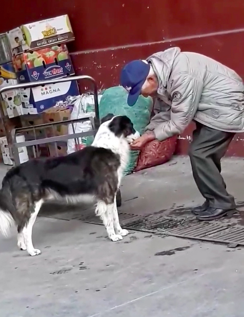 Abuelo y Perro Ecuador