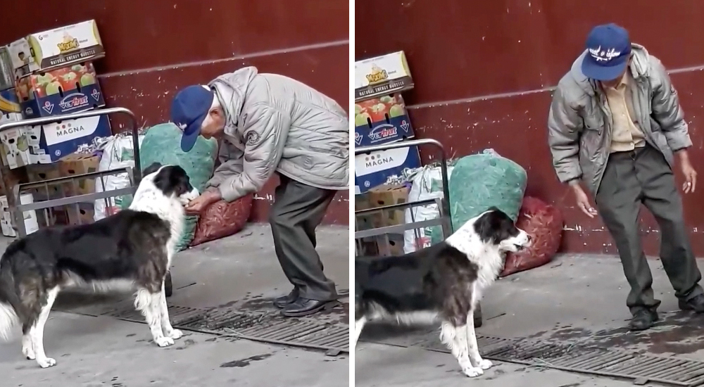 «Esto es amor, todavía existe gente buena»: La generosidad de un anciano con un perro callejero