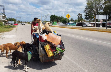 Edgardo Perros