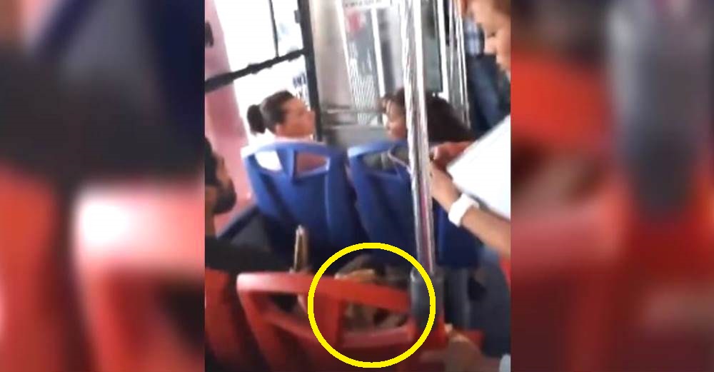 La reacción de un hombre tras ser obligado a bajarse del metro porque llevaba su perro