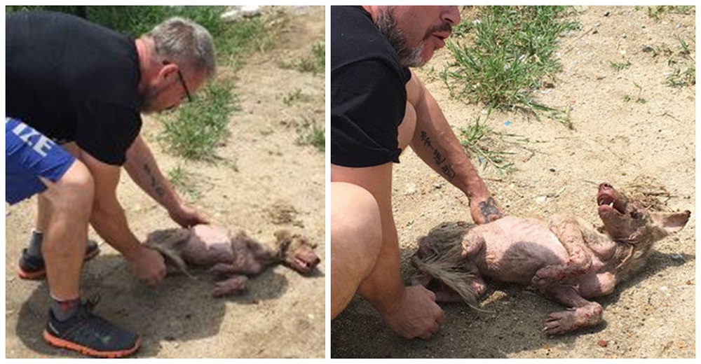 Milo lloraba adolorido cuando su ángel intentó levantarlo tras sobrevivir meses en la calle