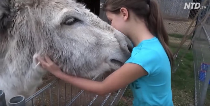 Niña y su burro