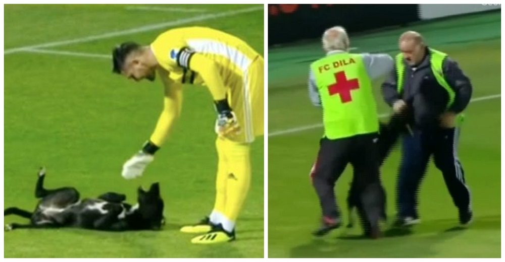 Invade el campo de fútbol para pedirle un masajito al portero y las autoridades reaccionan Invade el campo de fútbol para pedirle un masajito al portero y las autoridades reaccionan
