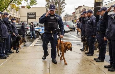 Ángel Perro K-9