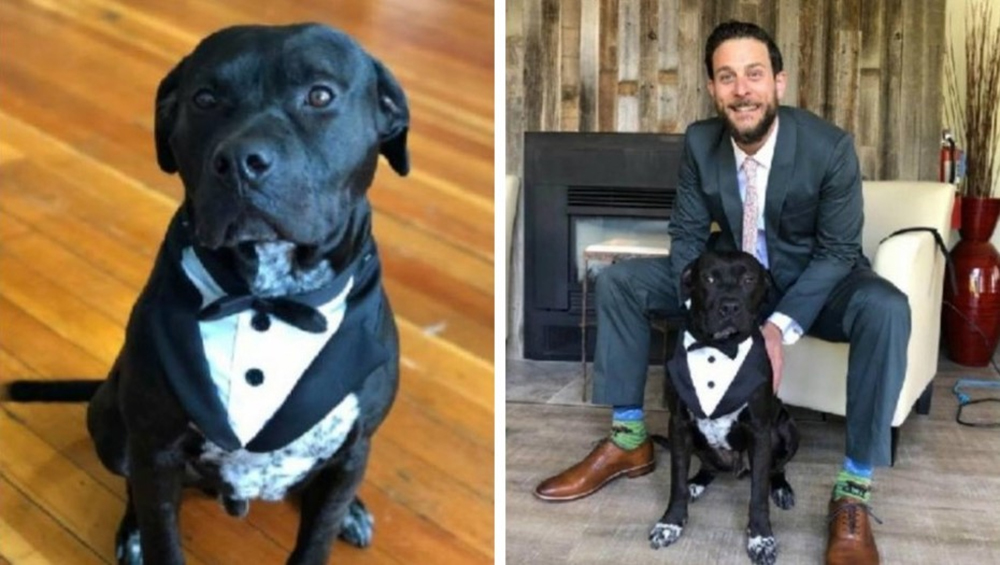 Salvó a un perro de vivir encadenado a una pared y después fue el protagonista de su boda Salvó a un perro de vivir encadenado a una pared y después fue el protagonista de su boda