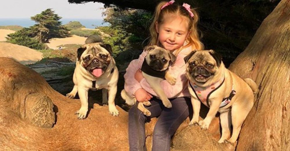 Kennedy, la pequeña que le dice las cosas más divertidas a sus Pugs Kennedy, la pequeña que le dice las cosas más divertidas a sus Pugs