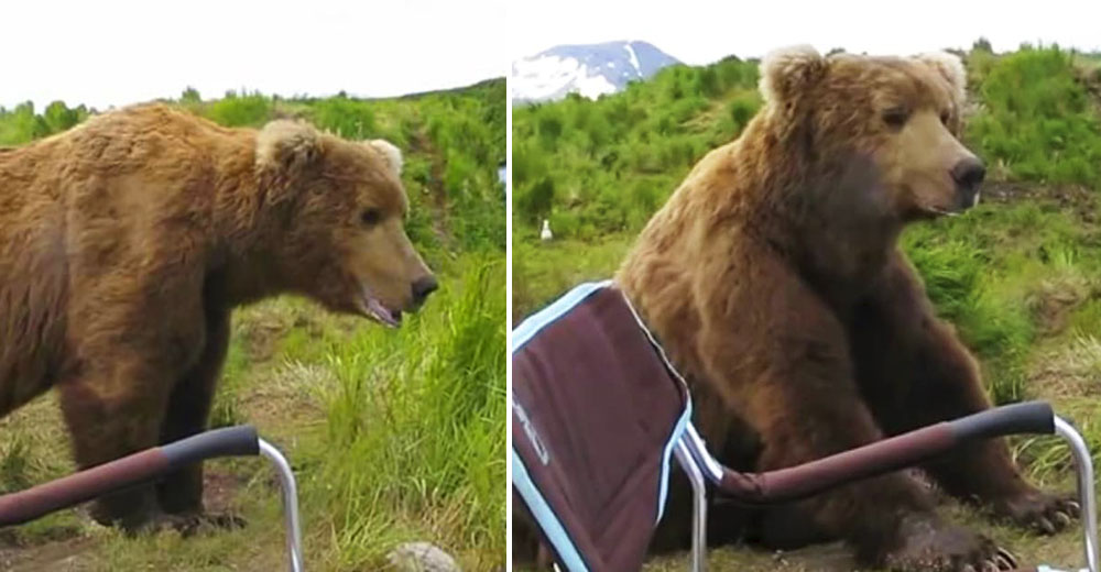 Se relajaba junto a un río y recibió el susto de su vida con un oso que se sentó a su lado