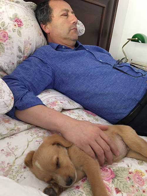 Padre y perrito