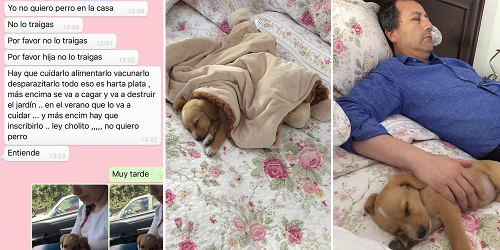 Padre y perrito