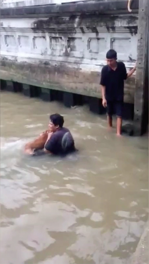 Rescate de perro en Bangkok