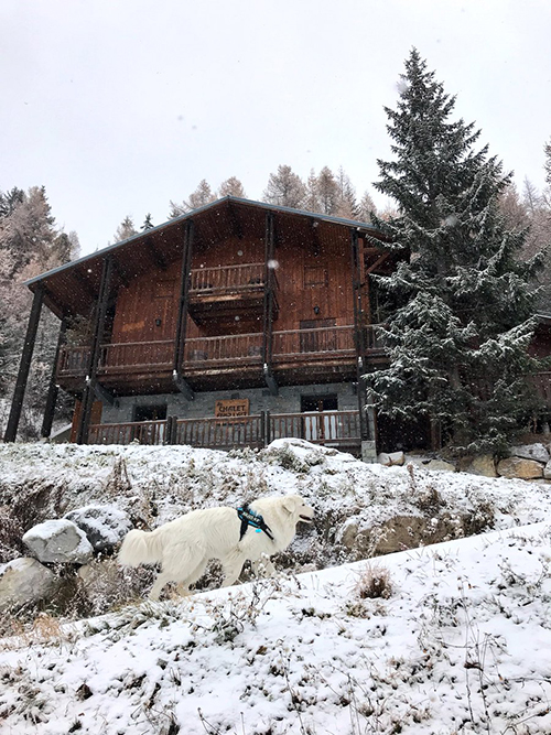 Gétro La Plagne