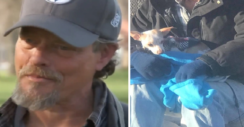 Un hombre sin techo toca corazones y logra conseguir un hogar para el perrito que rescató Un hombre sin techo toca corazones y logra conseguir un hogar para el perrito que rescató