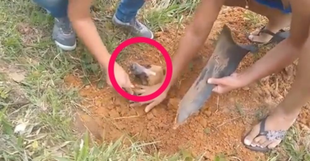 Lo enterraron vivo al costado de una carretera, pero estas heroínas llegaron justo a tiempo Lo enterraron vivo al costado de una carretera, pero estas heroínas llegaron justo a tiempo