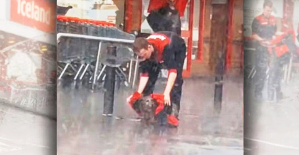 Ve a un perro que dejaron atado bajo la lluvia y corre con su chaqueta sin saber que lo grababan