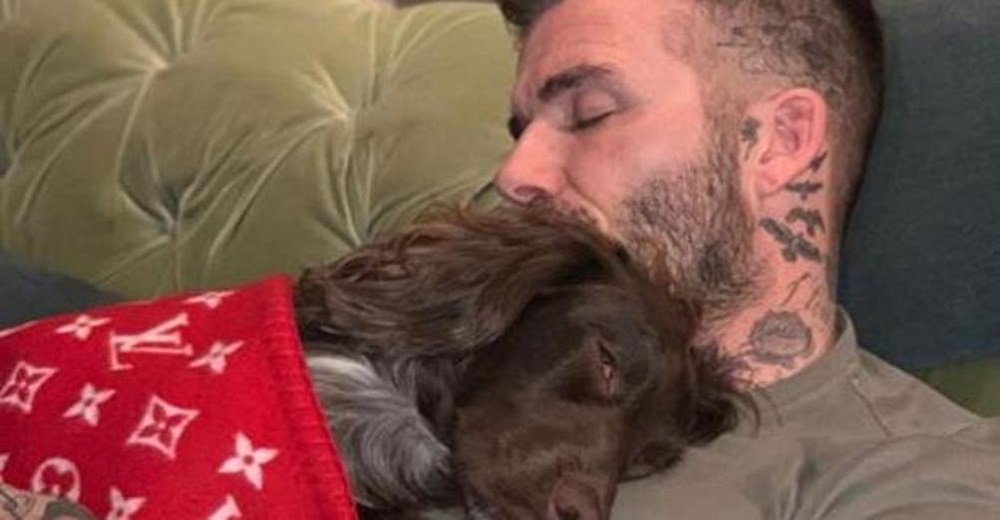David Beckham es criticado por arropar a su perro con una lujosa manta de Louis Vuitton