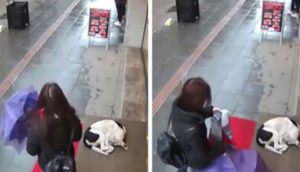 Se acerca a un perrito que temblaba de frío en la calle y estaba siendo grabada