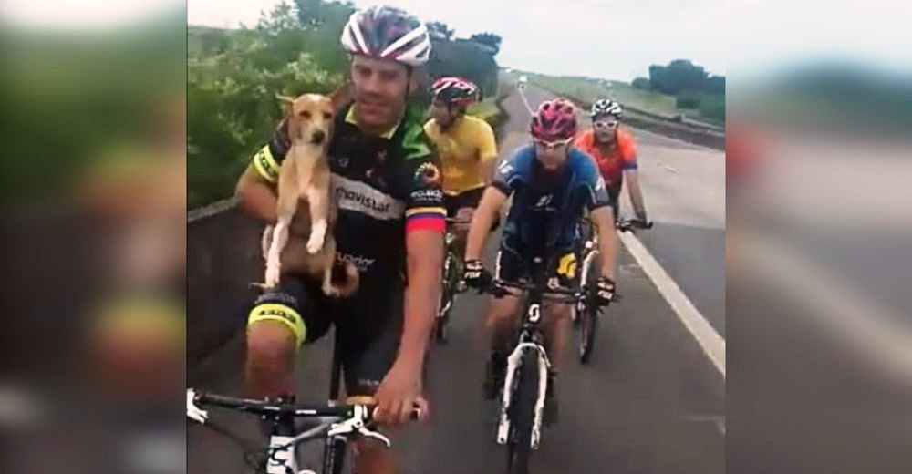 Ciclistas se detienen para cambiar una llanta y enseguida se dan cuenta de que no están solos Ciclistas se detienen para cambiar una llanta y enseguida se dan cuenta de que no están solos