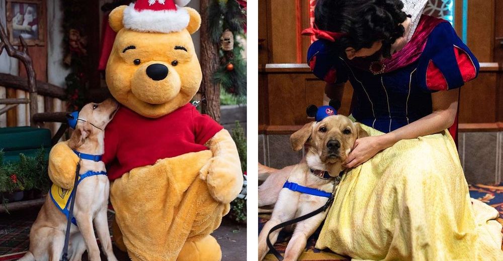 Viaja a Disney para conocer a sus personajes favoritos y tomarse un respiro tras su gran misión Viaja a Disney para conocer a sus personajes favoritos y tomarse un respiro tras su gran misión