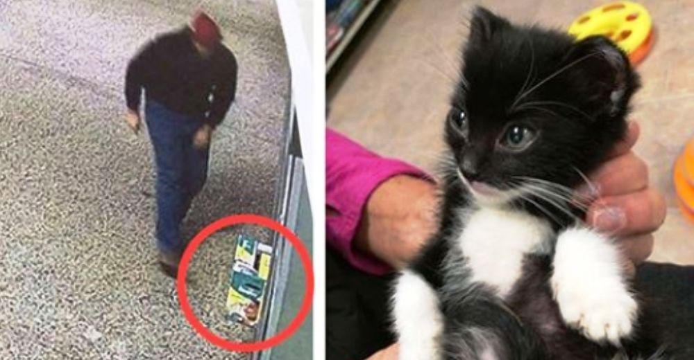 Una cámara captura el momento en el que un hombre abandona una caja frente a un refugio cerrado Una cámara captura el momento en el que un hombre abandona una caja frente a un refugio cerrado