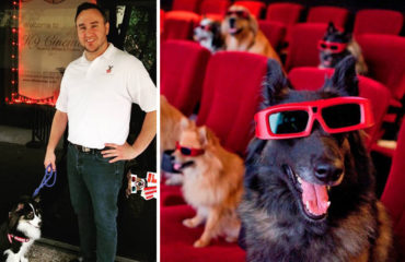 K9 Cinemas