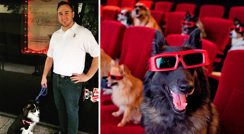 K9 Cinemas