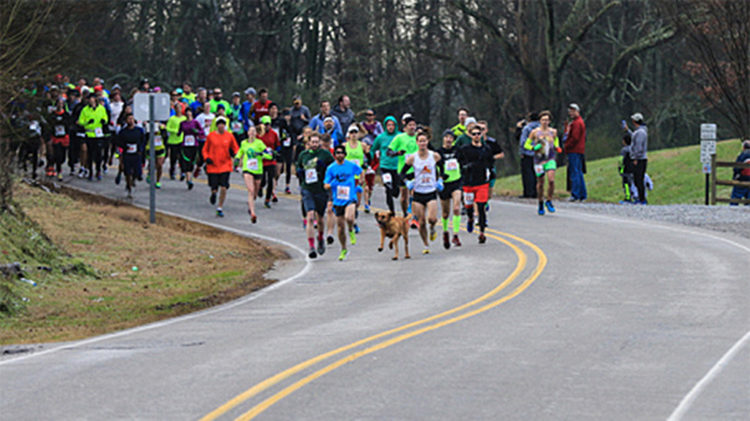 Ludivine Maraton de Elkmont