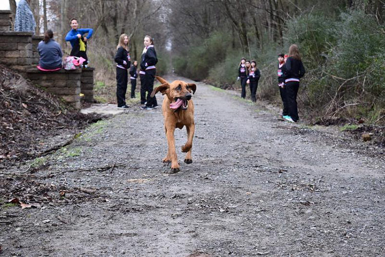 Ludivine Maraton de Elkmont