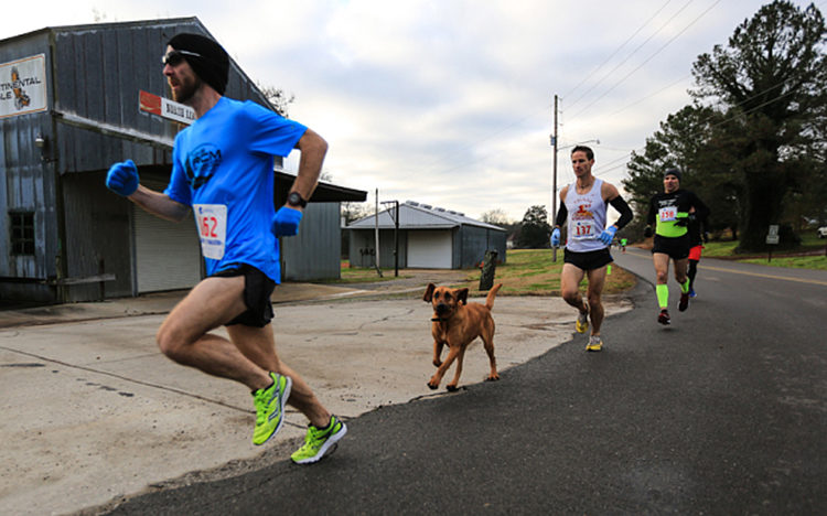 Ludivine Maraton de Elkmont