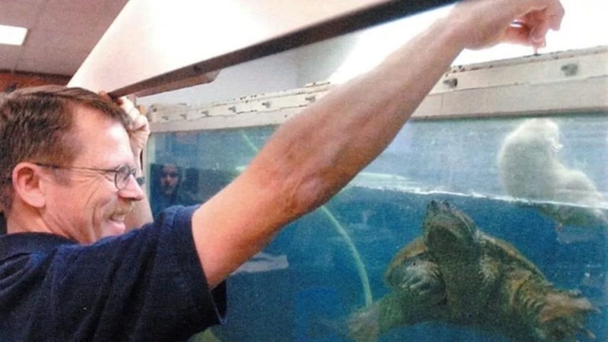 Maestro que alimentó a una tortuga con un perrito enfermo frente a alumnos es declarado inocente Maestro que alimentó a una tortuga con un perrito enfermo frente a alumnos es declarado inocente